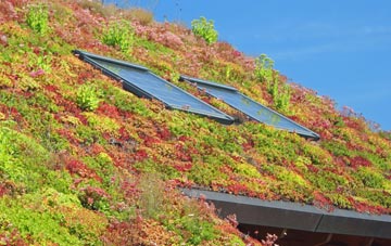 Low Barugh living roof systems